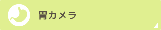 胃カメラ